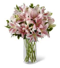 We did not find results for: Janousek Florist Omaha Florist Flower Delivery Ne Omaha Flowers