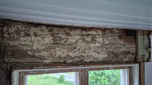 Image result for site:byggahus.se rötskada