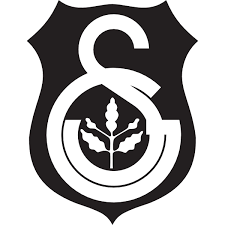 Free download basaksehir tip merkezi vector logo in.eps format. Medipol Istanbul Basaksehir Fk Logo Download Logo Icon Png Svg