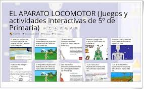 .﻿juegos organizados se refiere a cuando se realizan previa organización. 10 Juegos Y Actividades Interactivas Para El Estudio De El Aparato Locomotor En 5Âº De Primaria Actividades Interactivas Actividades Nivel De Educacion