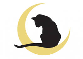 3122 white oak dr, houston. Meet Our Staff Cat Vet Clinic