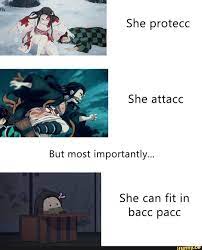 She protecc She attacc But most importantly... She can fit in bacc pacc -  iFunny Brazil