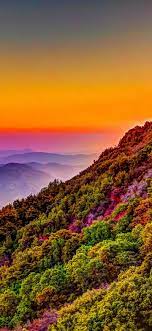Check spelling or type a new query. Mountain Colorful Forest Nature Sunset Scenery 4k Wallpaper 161