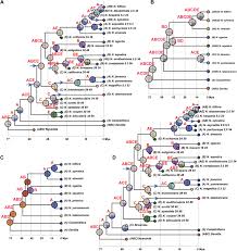 They're also competing for their coach's attention (aka cock) but their huge footballs will help them come to an agreement., 05/29/2009. Phylogenomics Biogeography And Evolution Of Morphology And Ecological Niche Of The Eastern Asian Eastern North American Nyssa Nyssaceae Zhou 2020 Journal Of Systematics And Evolution Wiley Online Library