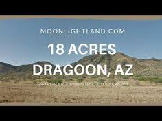 It's no coincidence the most venomous scorpion in. Sg Bug Sgbug1 Profile Pinterest