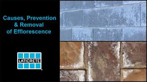 Technical reasons for efflorescence on grout. Causes Prevention And Removal Of Efflorescence Youtube