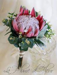 A Simply Stunning Statement Bouquet Perfect In All Its Glorious Simplicity A Perfect Rusty Red King Simple Wedding Bouquets Protea Wedding Bridesmaid Flowers