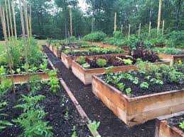 Podcast In 2020 Vegetable Garden Planner Vegetable Garden Design Garden Planner