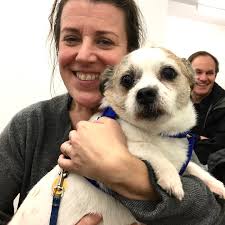 Iggy has crossed the rainbow bridge. In his 18+ years he had the joy of  sharing good times with many artists and great art. We miss his presence  very much. (Above post