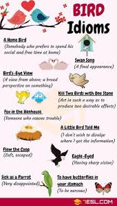 Bird Idioms 27 Useful Phrases And Idioms About Birds 7 E S L English Idioms Idioms English Language Teaching