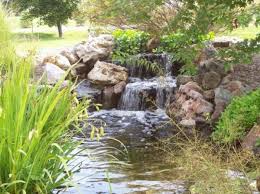 Epingle Sur Idees De Jardin