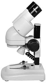 With the am2111 your kids can view images on the computer screen instead of looking through an eyepiece. Best Microscopes For Kids Microscope World Blog