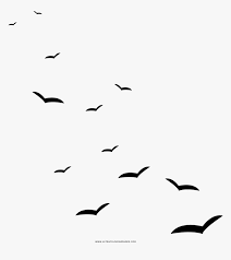 Download the free graphic resources in the form of png, eps, ai or psd. Seagulls Coloring Page Gaivota Png Transparent Png Transparent Png Image Pngitem