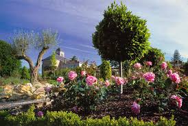 Coex Ville Des Olfacties