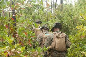 I look forward to working with you and the other members of the board towards the advancement of our company. Sample Letter To The President Of The Promotion Board Usmc