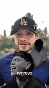 Por que mi gata de @juniorh pega más de noche? 🫩🫩