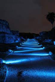 Landscape Lighting This Is Very Cool People Outdoor Landscape Lighting Landscape Lighting Design Landscape Lighting