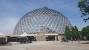 Henry Doorly Zoo Swamp