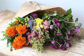 Check spelling or type a new query. Farmers Market Flickr Photo Sharing Farmers Market Flowers Pretty Flowers Beautiful Flowers