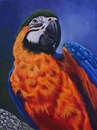 Beautiful Bird Paintings On Canvas Macaw By Theresa Cangelosi Macaw Birds Painting Painting