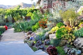 Pacific Horticulture Society Apld Garden Tour In La Garden Tours Sustainable Garden Garden