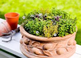 Check out the best miniature diy garden designs for 2021 here. Make A Miniature Garden Better Homes Gardens