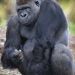 Before moving to carly's current carly christine carrigan was booked on sunday march, 24th, 2019 by matthews police. Carly Carrigan Carlycarrigan Profile Pinterest