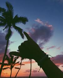 Shaka Surf Sun Sand Love And Friends The Summer Never Ends A Good Mega Chill Apple Music Playlist To Play A Summer Photography Beach Pictures Beach Photos