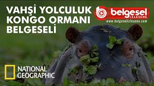 Kongo Ormani Vahsi Yolculuk Belgeseli Turkce Dublaj Youtube