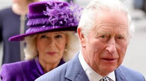 Two words from Prince Harry about Queen Camilla 'devastated' King Charles