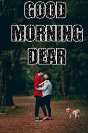 This morning fill your dear one's cup with love. 699 Good Morning Love Gif For Whatsapp Status Download Fliximages