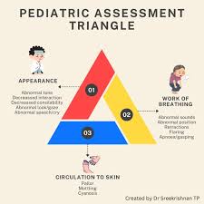 Image result for Pediatric Assessment Triangle