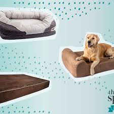 In general, dog owners recognize that dogs have two main sleeping styles: The 7 Best Orthopedic Dog Beds Of 2021