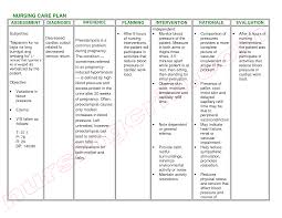 Care plan for elderly sample misse rsd7 org Free Nanda Nursing Diagnosis Ebook Nursing Care Plan Nursing Care Plans Template Nursing Diagnosis