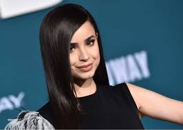 Alan walker, mood melodies &. Sofia Carson S New Single Guess I M A Liar Drops At Midnight Glitter Magazine