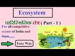 Ecosystem In Hindi Language Youtube