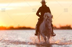 Highly recommend this tour, especially if you want to get away from the hustle and bustle of the vegas scene! Cowboy On Horse At Sunset Stock Photos Offset