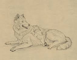 How To Draw Animals Dogs And Wolves And Their Anatomy Like a mix of sliders and the one but with the dogs trying to bring about interdimenational harmony with their other selves. how to draw animals dogs and wolves