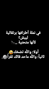 pin by moon on arabic quotes laughing quotes funny words funny quotes