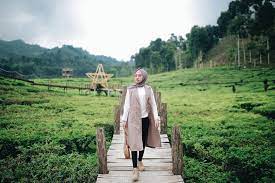 Pulau penyengat (tempat lahirnya bahasa indonesia) pantai trikora. Potret Memesona Kebun Teh Gunung Gambir Di Jember Pesonanya Patut Diuber