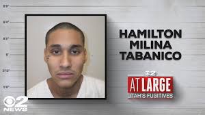 Documented gang member named as 'high-priority' capture for Utah County  Sheriff's Office