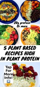 5 High Protein Plant Based Recipes Any Reason Vegans Meal Prep Meal Plan Vegans Easy Ingredients Vegan Vegan Meal Plans Vegan Meal Prep Vegan Protein Recipes