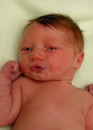 Oswego County TodaySylas Michael MacDonald