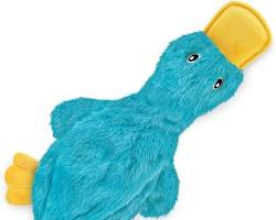 small and cute pet goodsの画像
