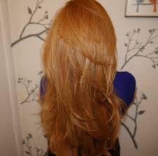 Strawberry Blonde Hair My Epic Journey Part Two It Continues Strawberry Blonde Hair Blonde Hair Color Sally Beauty Supply Hair Color