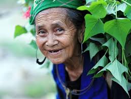 Le Courrier du VietNam