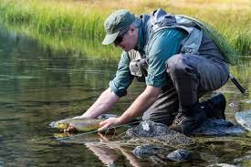 Presente, passato, trapassato e futuro. Pesca In Val Di Sole Trentino