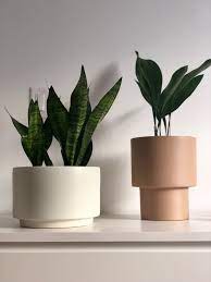 Hi friends in this video i am explain about beautiful indoor plant pot making plant pots hanging pots indoor plants house plants low light plants indoor. Kana Pot Medium Caramel By Oyoy Ceramic Flower Pots Ceramic Plant Pots Flower Pots