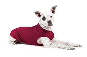 Gold Paw Stretch Blue Fleece Dog Coat Soft Warm Dog Clothes Stretchy Pet Sweater Machine Washable Eco Friendly All Season Sizes 2 33