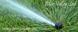 Blue Valley Sod: Sprinkler FAQ